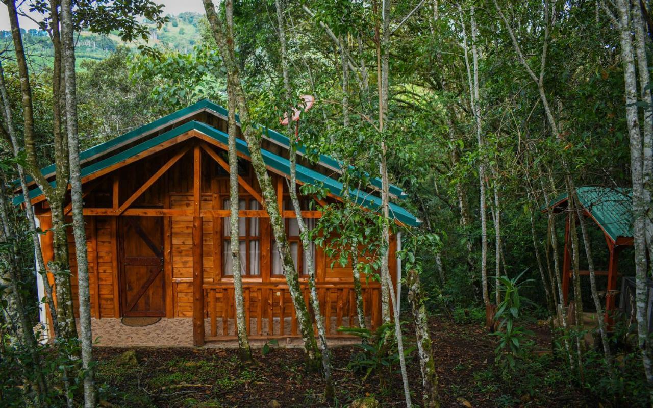 Cabanas El Coyote San Pablo  Exteriér fotografie